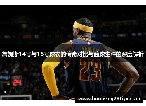 詹姆斯14号与15号球衣的传奇对比与篮球生涯的深度解析